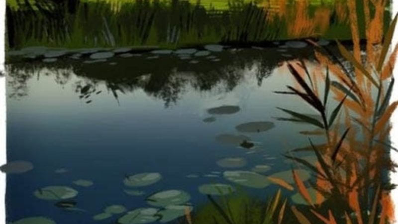 半口种植牙：全面解析其优缺点与价格因素